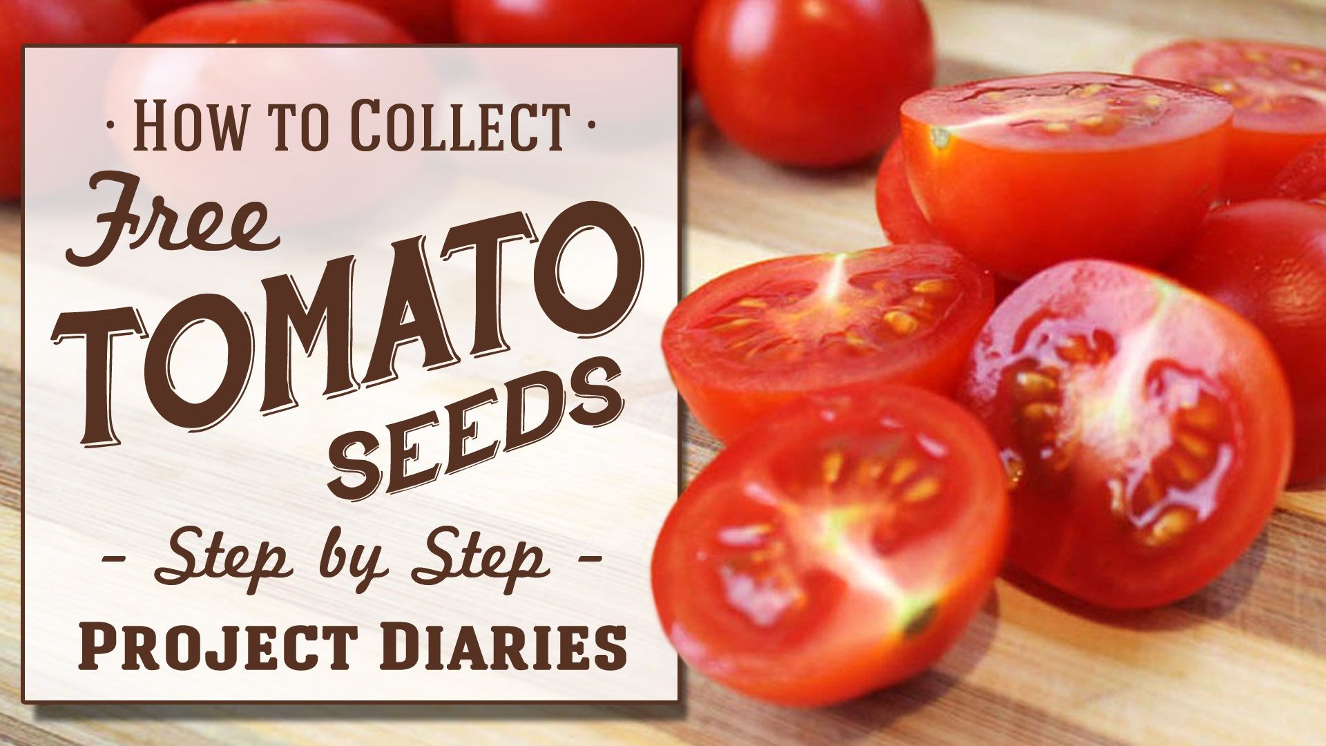 How To Collect Free Tomato Seeds A Complete Step By Step Guide Steemit